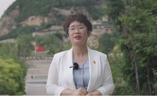 “重走习近平总书记来陕考察路线”——革命传统教育现场教学微课堂延安宝塔山篇