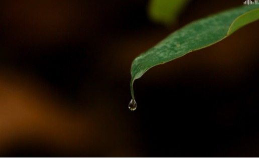《水资源利用》
