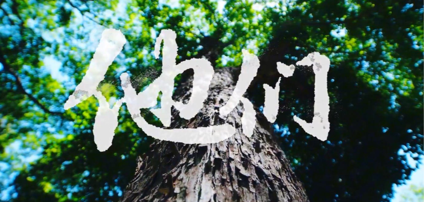 西安理工大学辅导员宣传片《他们》